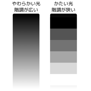階調の数によって表現できる幅が変わる